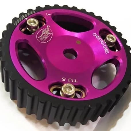 فولی ادجاست